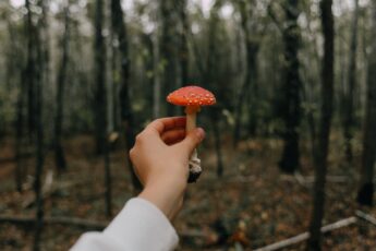 Dziadek leczył mnie muchomorem i o mały włos mnie nie zabił